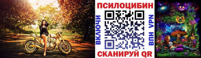 Псилоцибиновые грибы Cubensis Озёрск